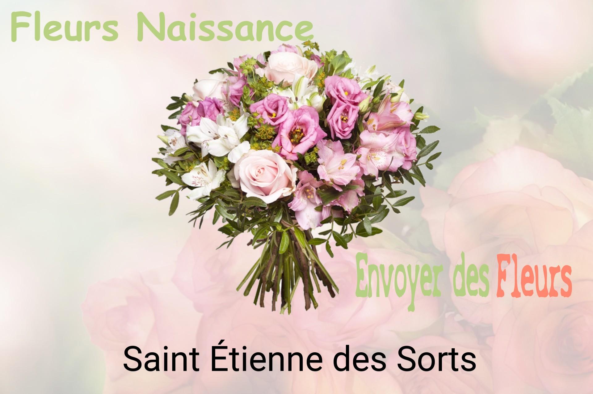 Bouquet de fleurs de naissance livré à Saint-Étienne-des-Sorts