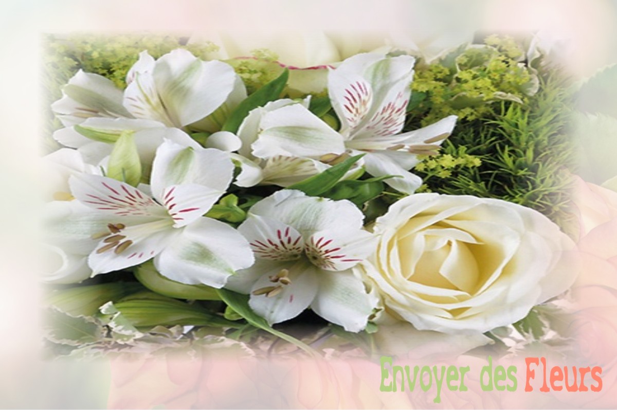 envoyer des fleurs à à SAINT-ETIENNE-DES-SORTS